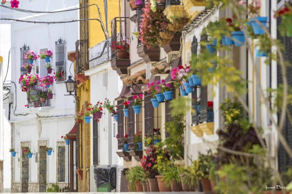 Casa "Las Flores" Barbate Eksteriør billede